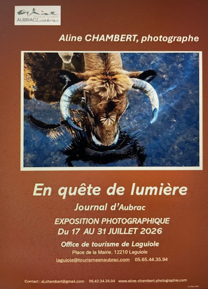 exposition aline